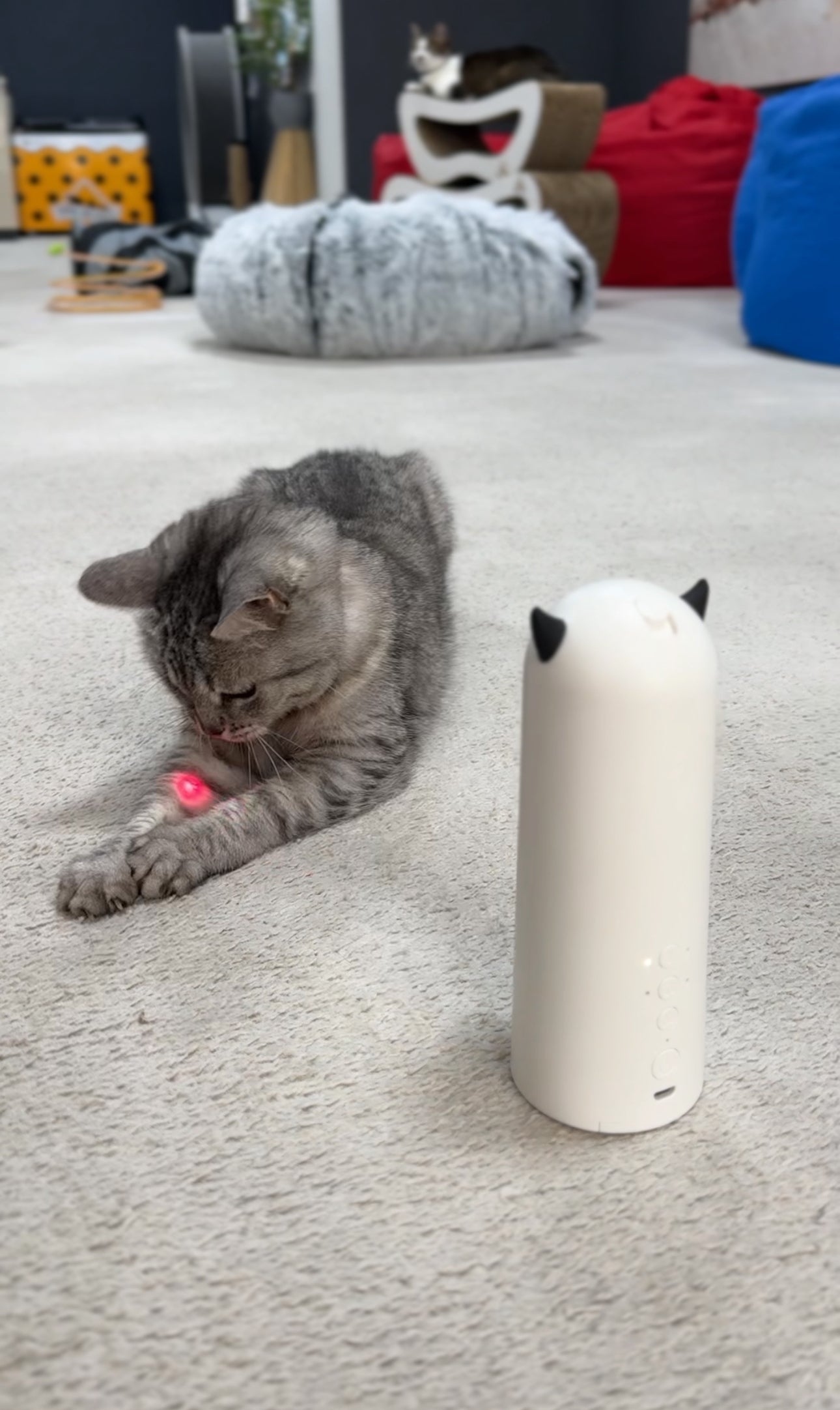 CozzyPaws™ ROJECO Automatic Cat Toy – Interactive Smart Pet Laser